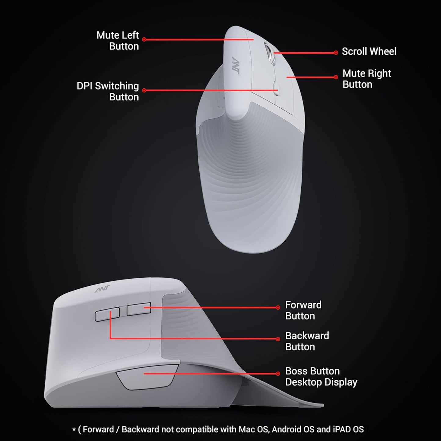 Ant M200 Latest Vertical Wireless Mice, Wireless Ergonomic, Rechargeable,5 Adjustable DPI, Silent 2.4GHz Optical Tunnel, USB Wireless Mouse for Laptop, PC_ White